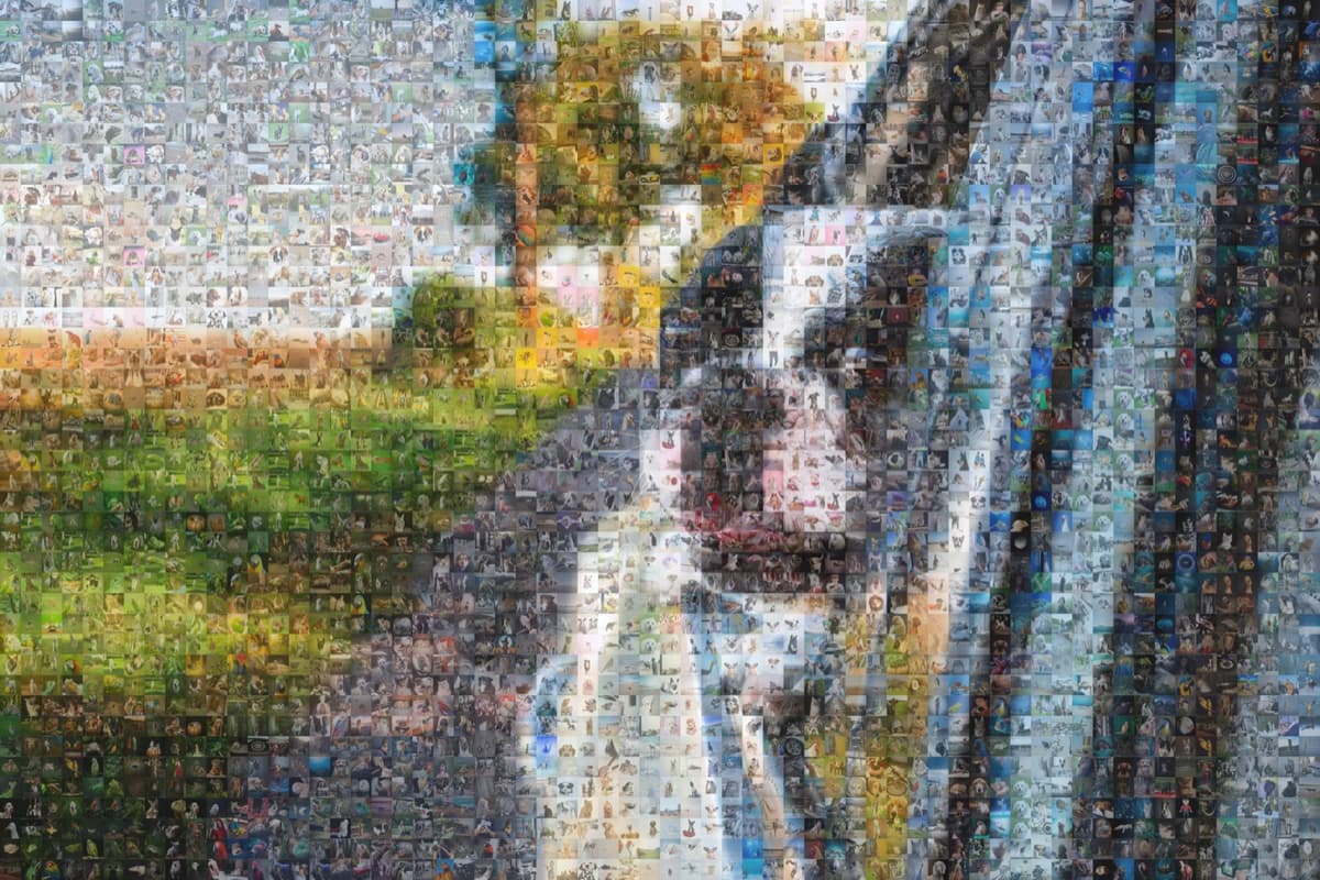 A photo mosaic of a dog, showing the visible grid of small tile photos