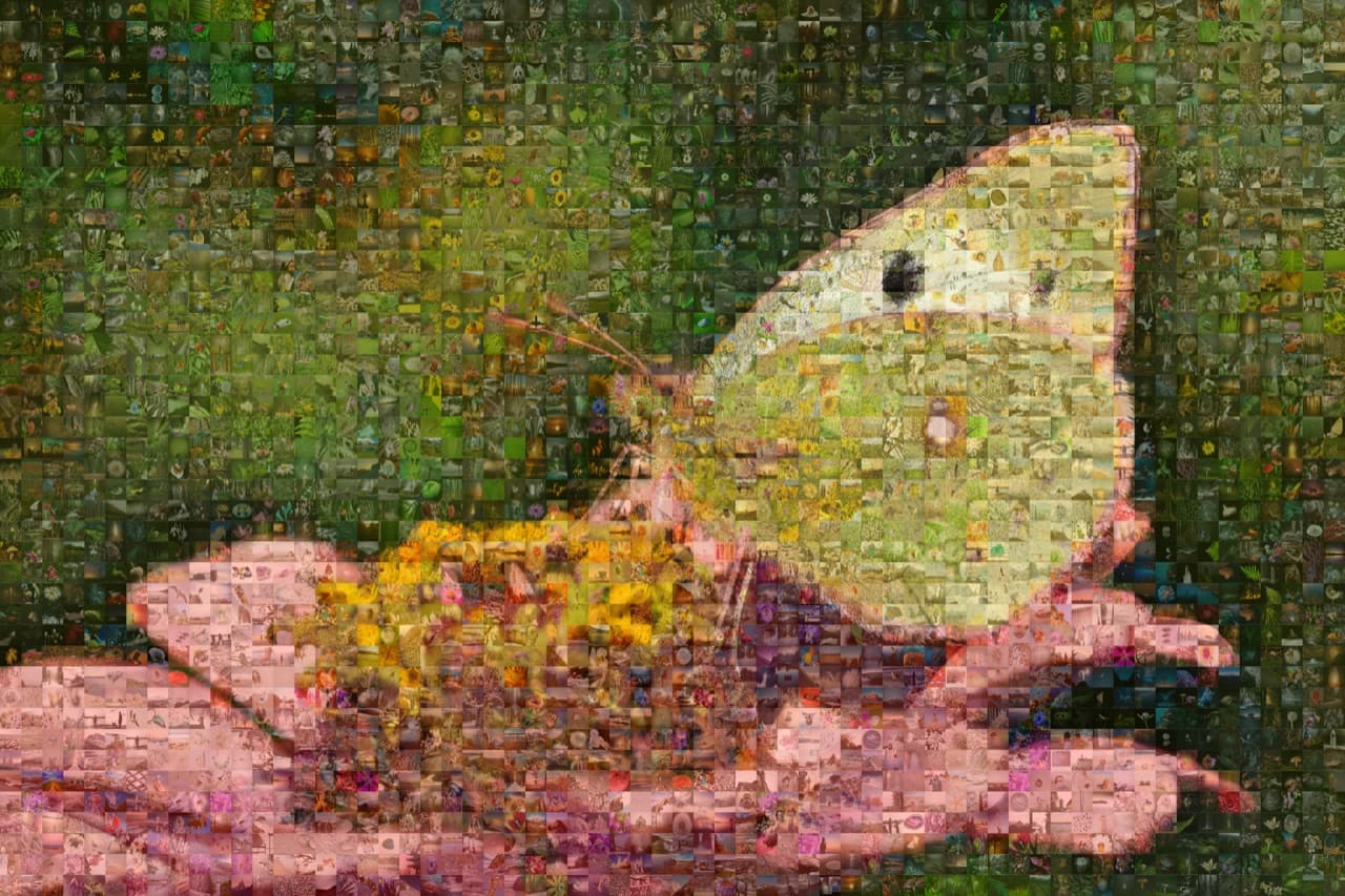 A nature photo mosaic, a thoughtful holiday gift